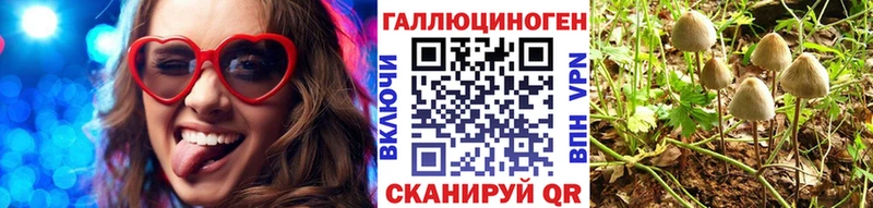 Галлюциногенные грибы MAGIC MUSHROOMS  где можно купить   Магнитогорск 
